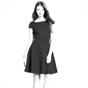 Banana Republic Seamed Fit and Flare Dress